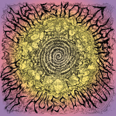 BLACK HOLES DON'T CHOKE LP