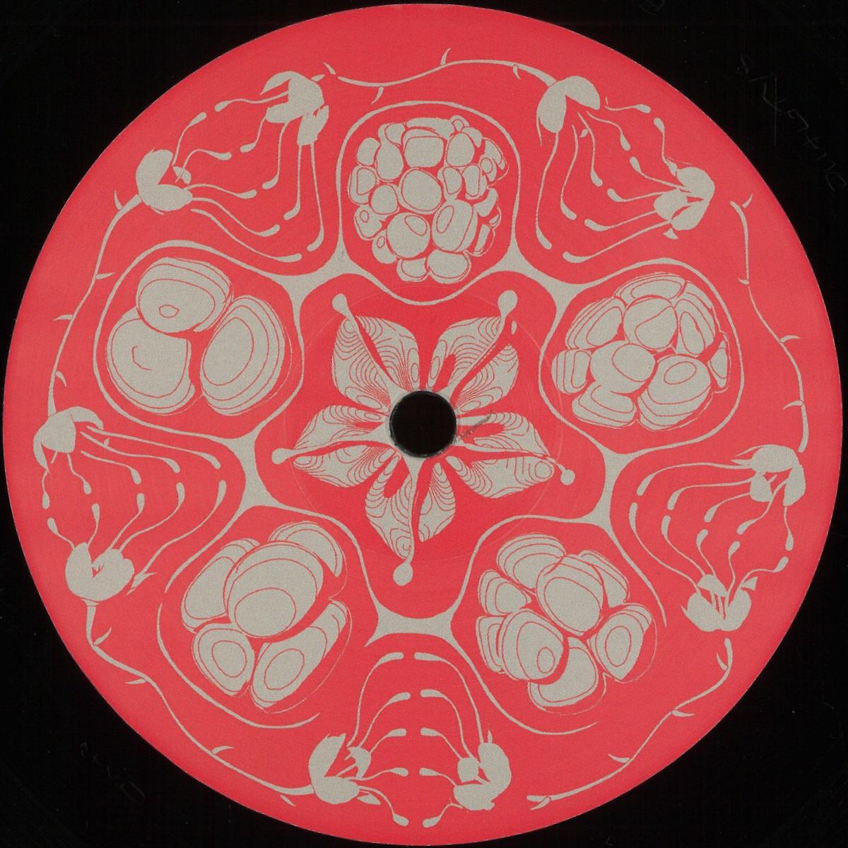 Framboisier — Planetary Vision EP vinyl cover