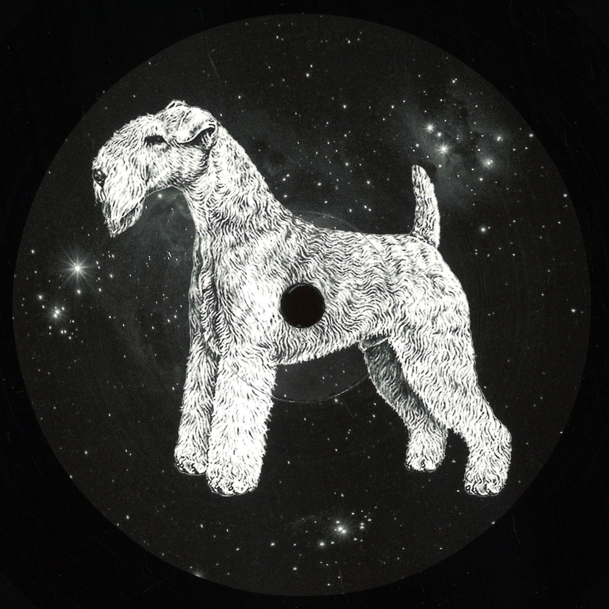Paul Walter — DM For House vinyl cover