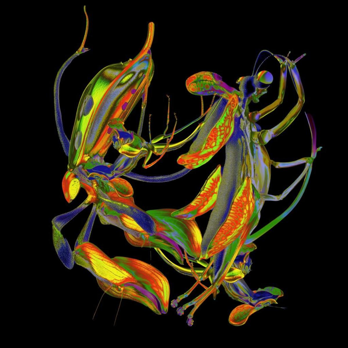 DJ Nobu — Shō vinyl cover