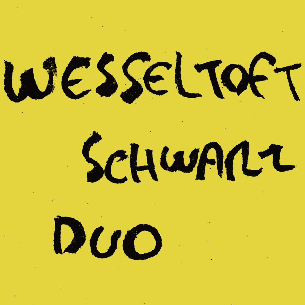 Bugge Wessseltoft, Henrik Schwarz — Duo LP vinyl cover