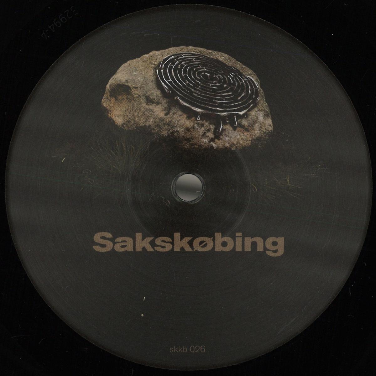 Niki Il B — Labyrinth of Echoes vinyl cover