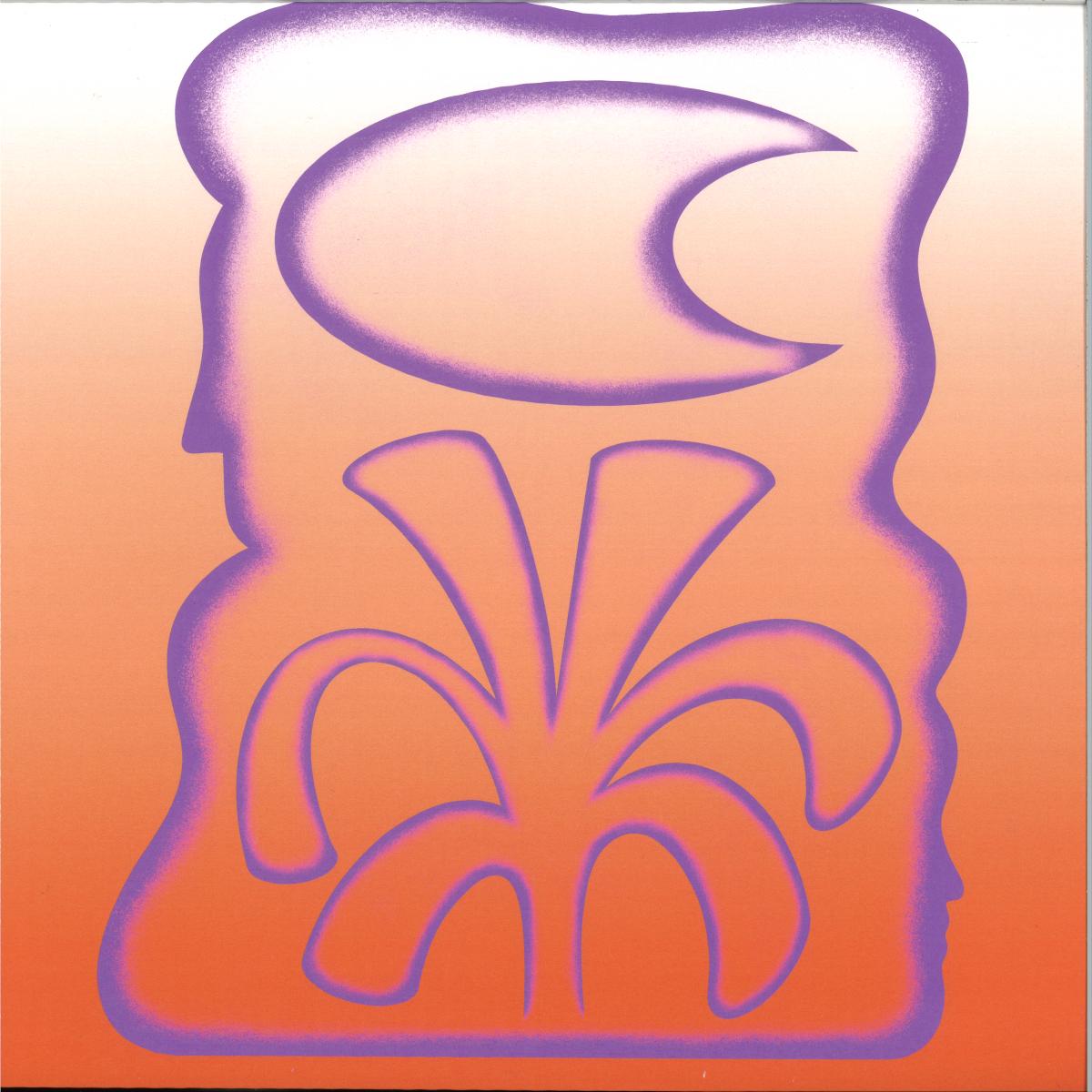 Sebastian Mullaert, Layla Rehana — Solar Paint, and The Melodies in Between LP vinyl cover