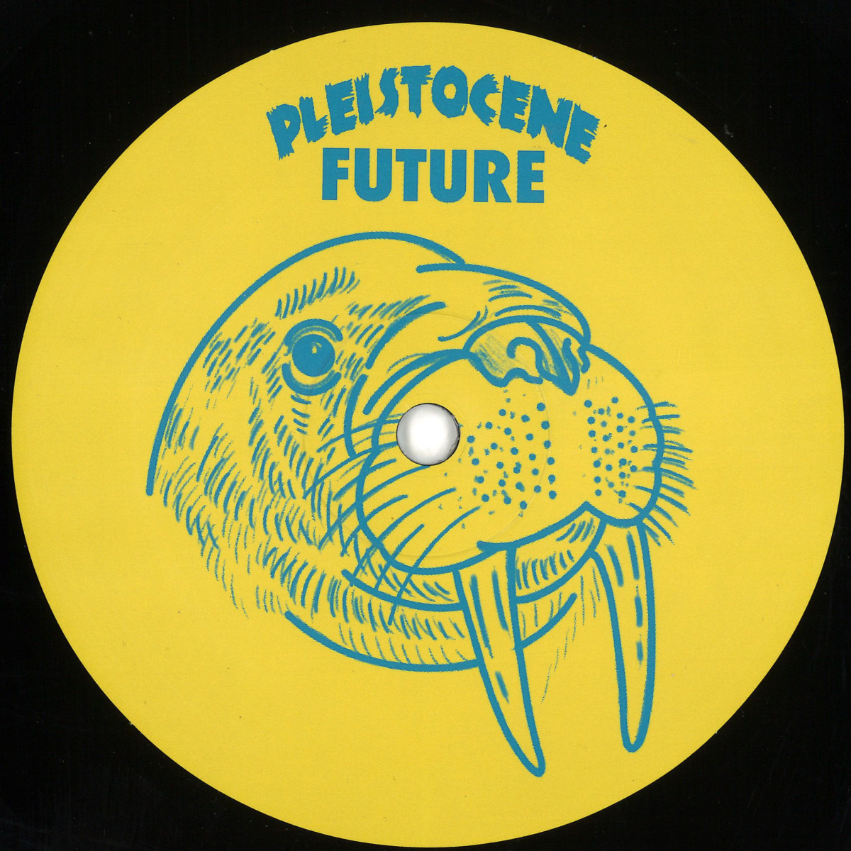 Dynamic Forces — Pleistocene Future 7 vinyl cover