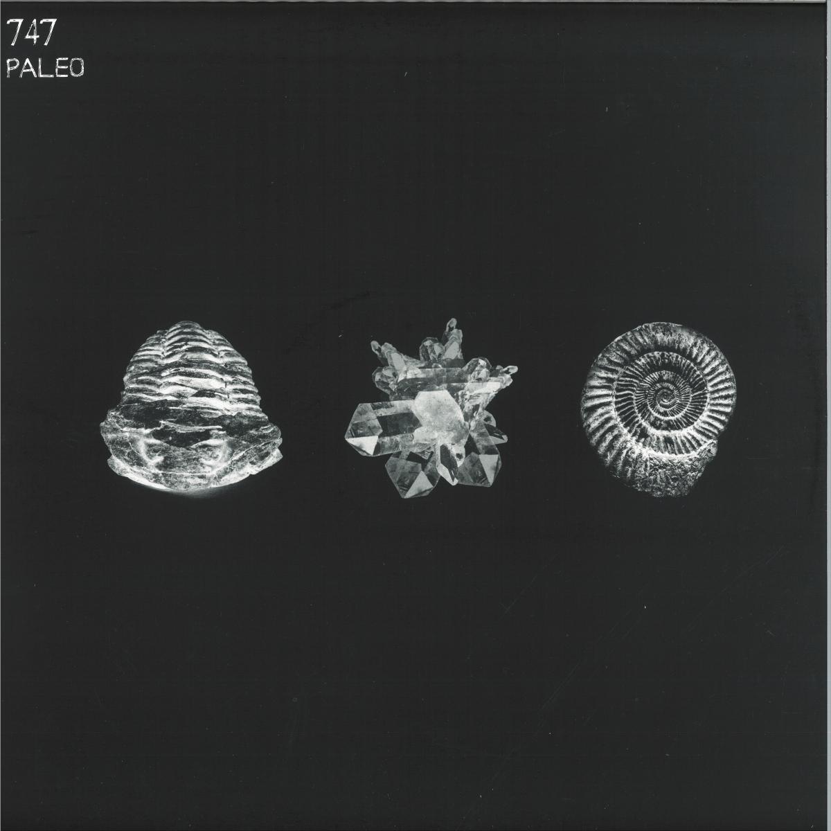 747 — Paleo 2x12" vinyl cover