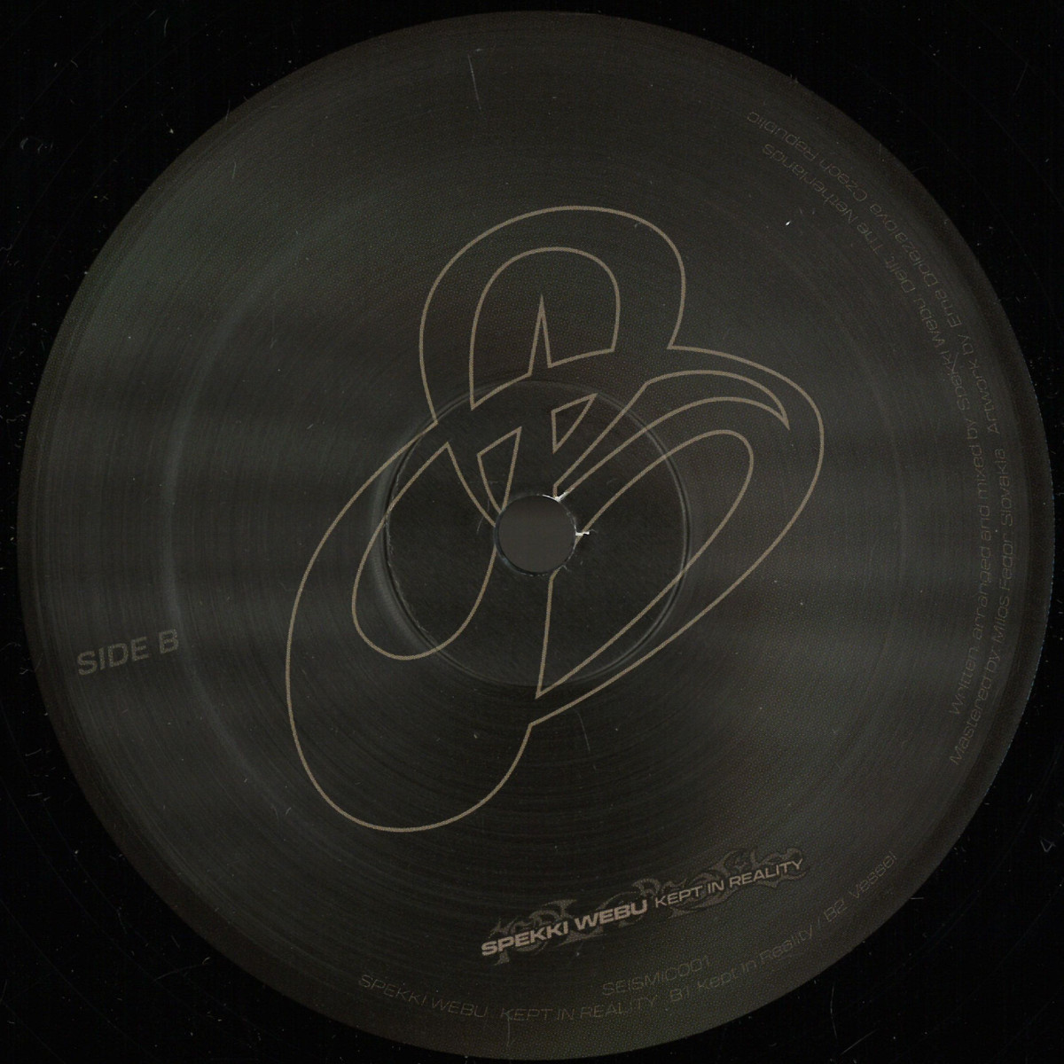 Spekki Webu — Kept In Reality vinyl cover