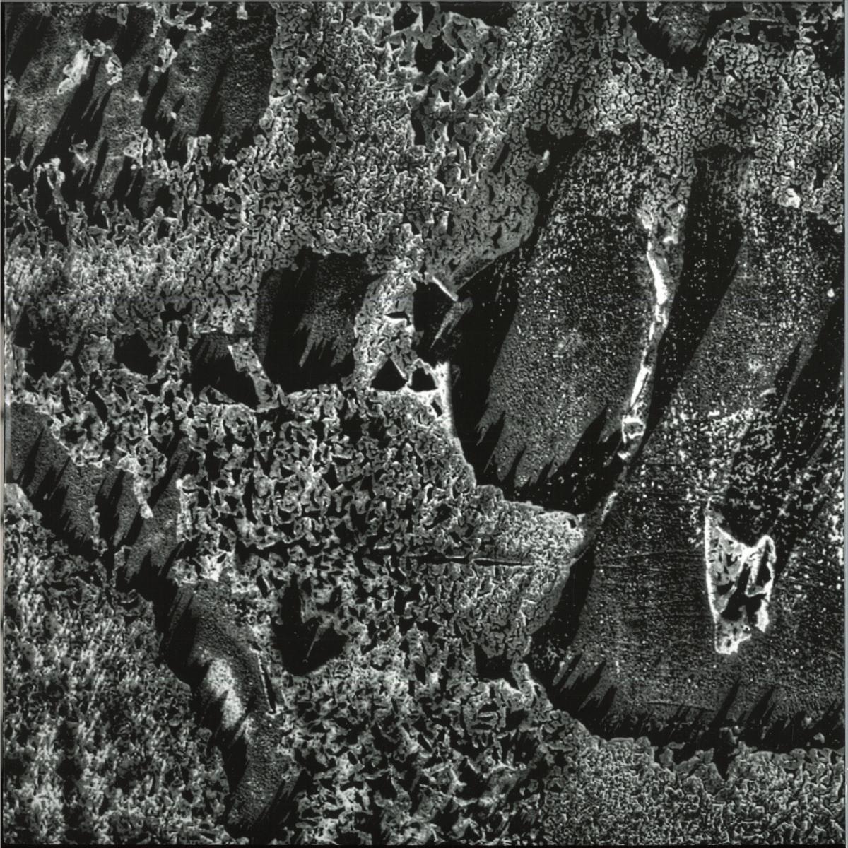 Coaxial System — Institut Night Edt. vinyl cover