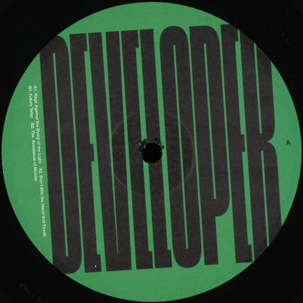 Developer — Archive 011 vinyl cover