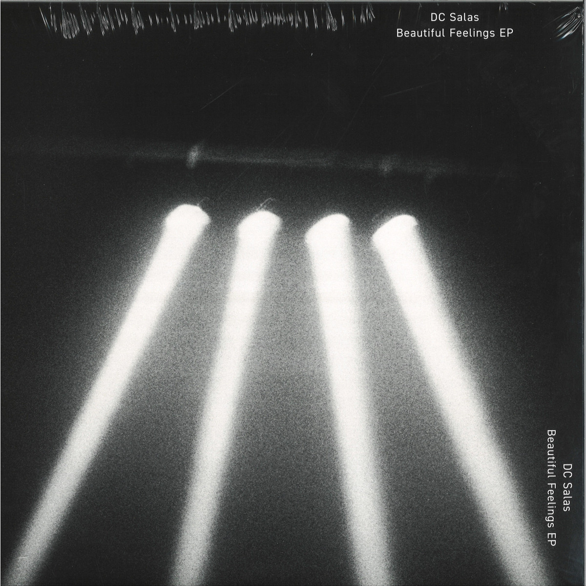 Dc Salas — The Beautiful Feelings EP vinyl cover