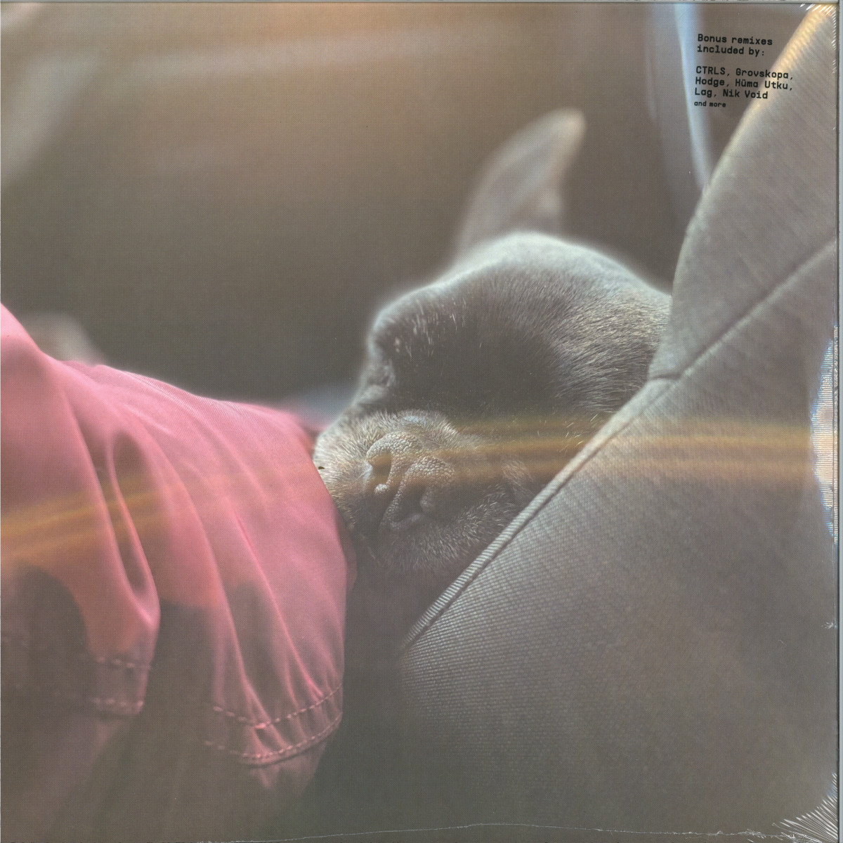 Rivet — L+P-2 LP (2x12") vinyl cover