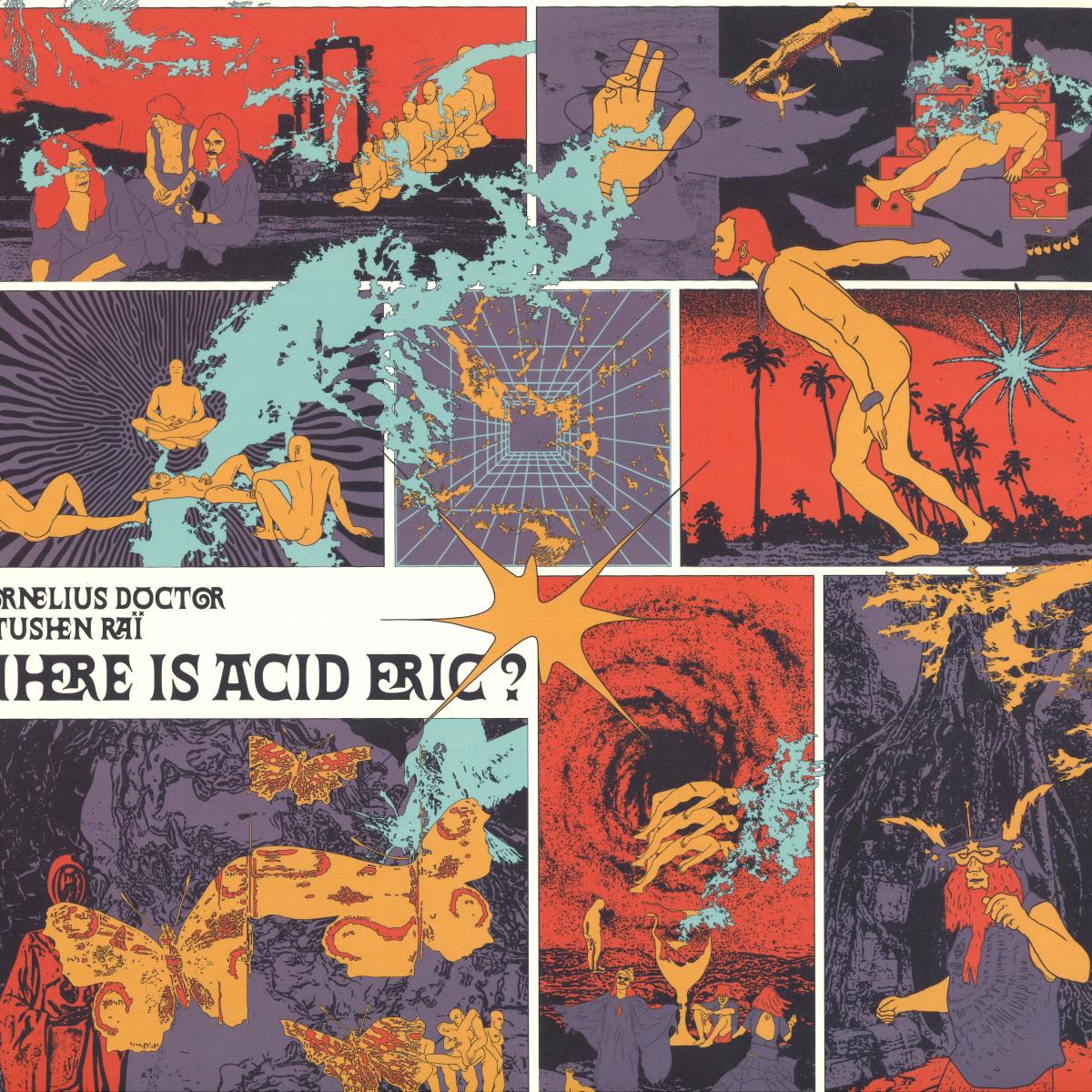 Cornelius Doctor, Tushen Raï — Where Is Acid Eric ? vinyl cover