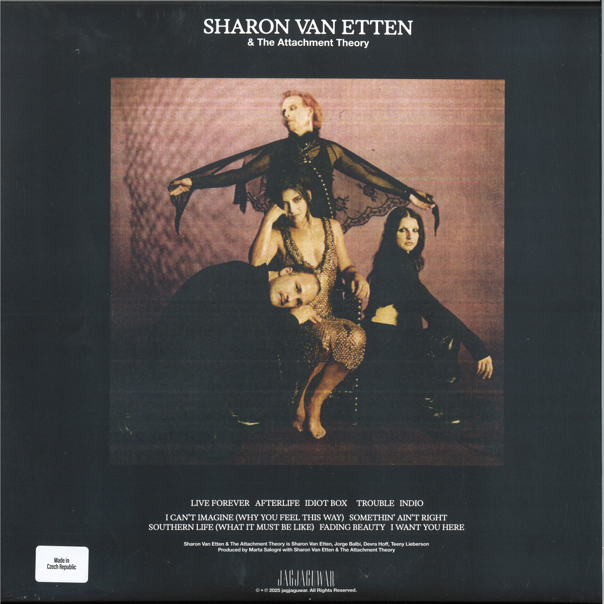 SHARON VAN ETTEN - SHARON VAN ETTEN & THE ATTACHMENT THEORY LP / JAGJAGUWAR  JAGC1V1464- Vinyl