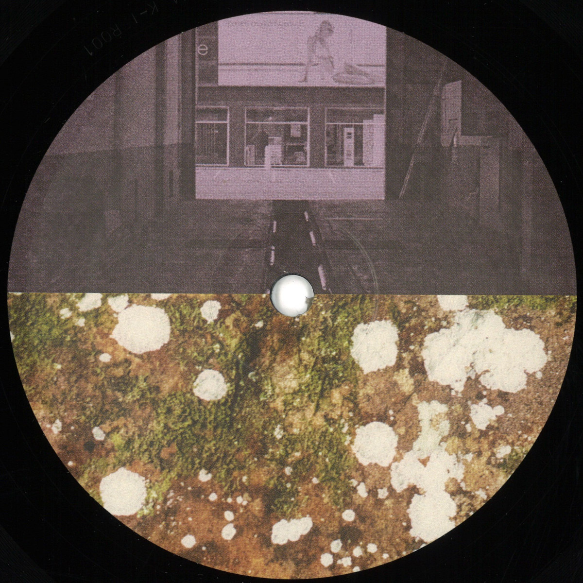 Rene Wise, Arthur Robert — Selected Reissues 1.0 vinyl cover