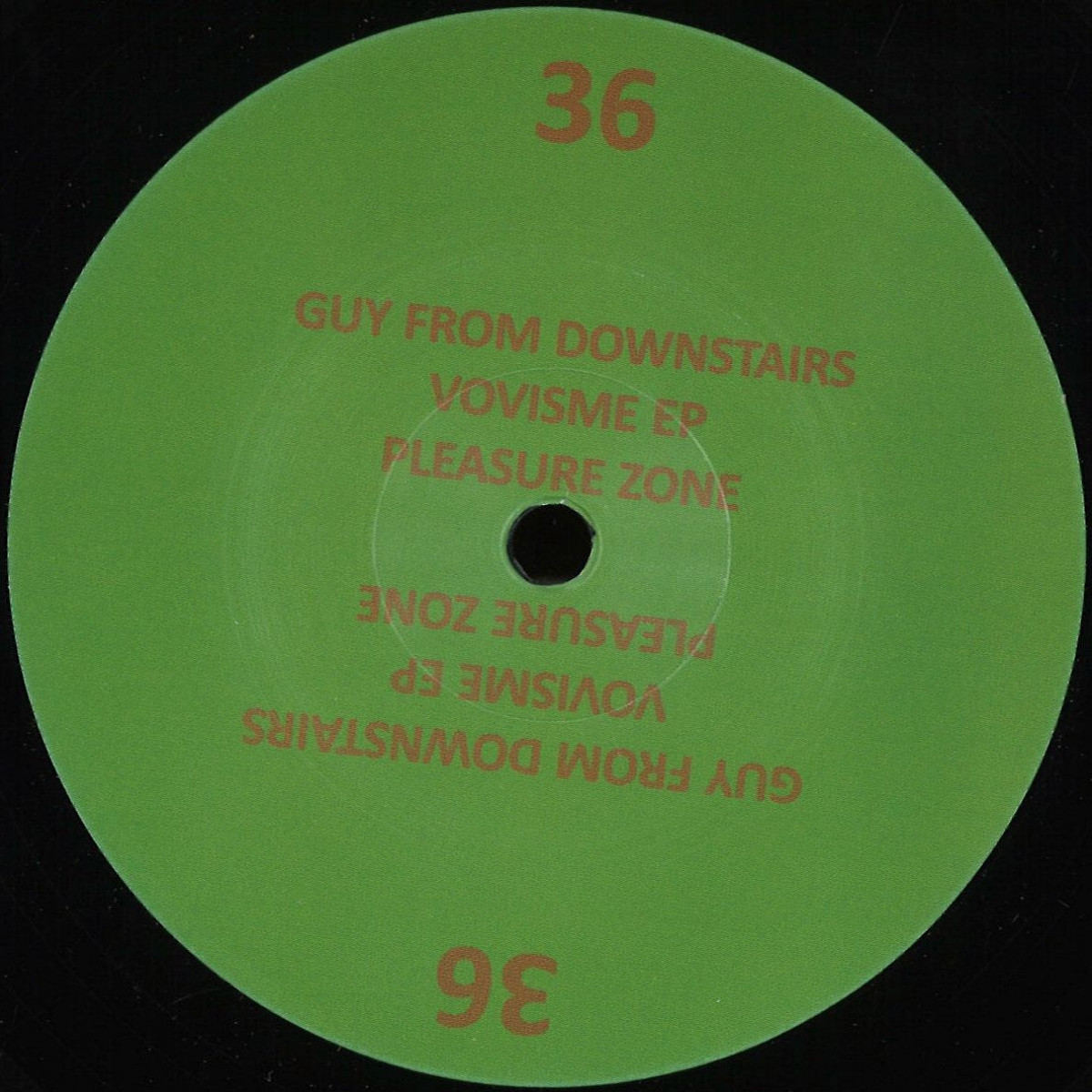 Guy From Downstairs — Vovisme EP vinyl cover