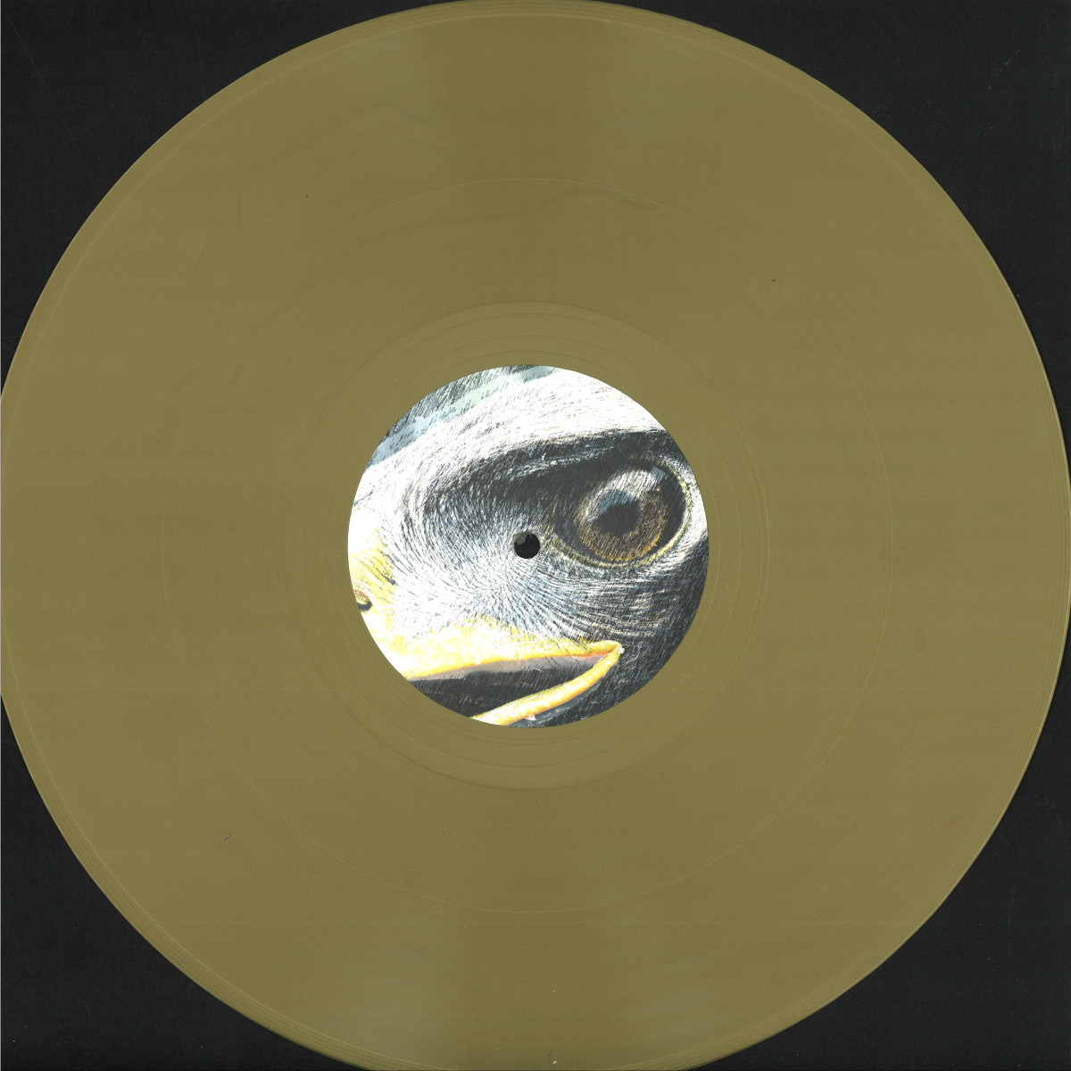 Dan*Eds — Yr Elen (Elen’s Hill) vinyl cover