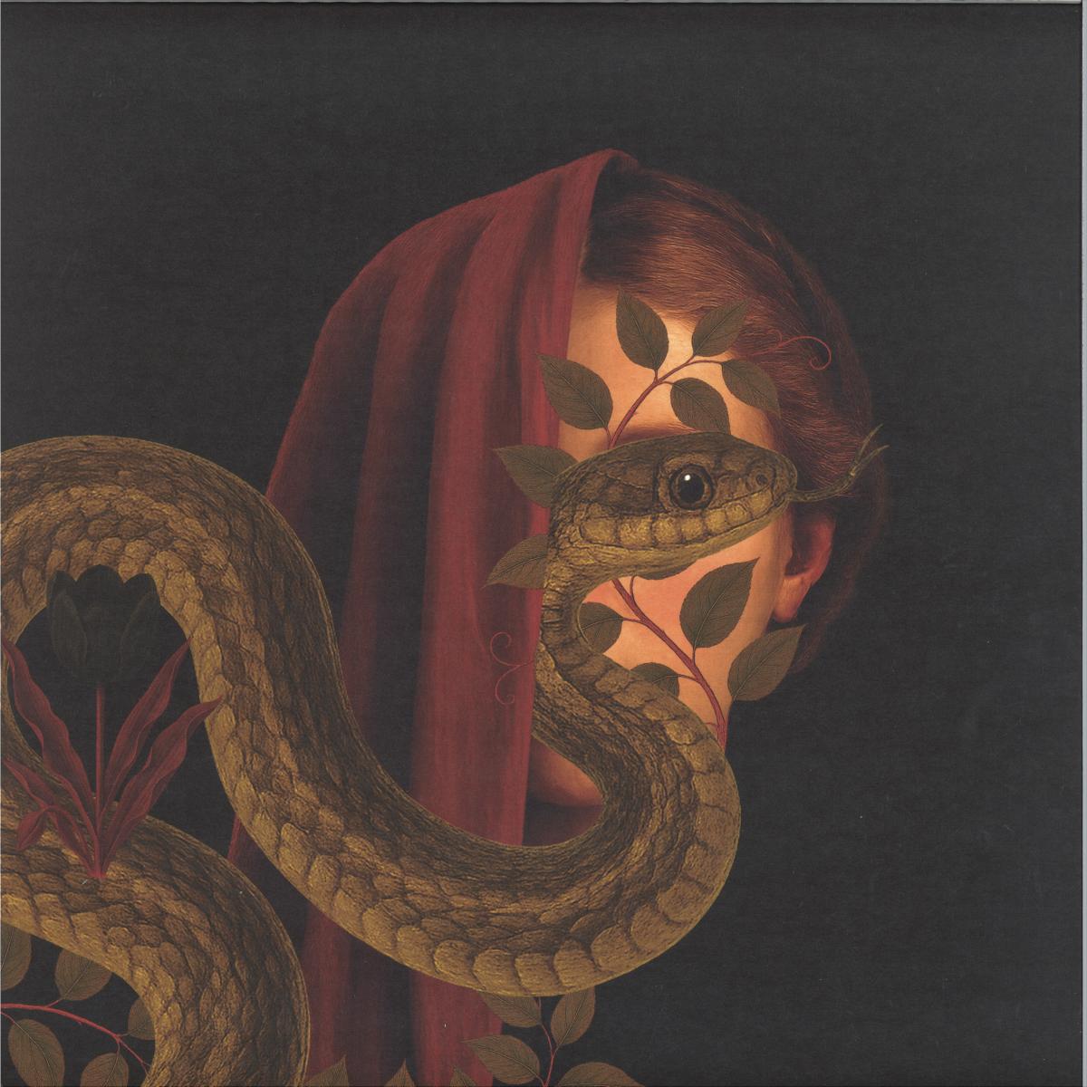 Joven Prisionero — Persiguiendo Ecos EP vinyl cover