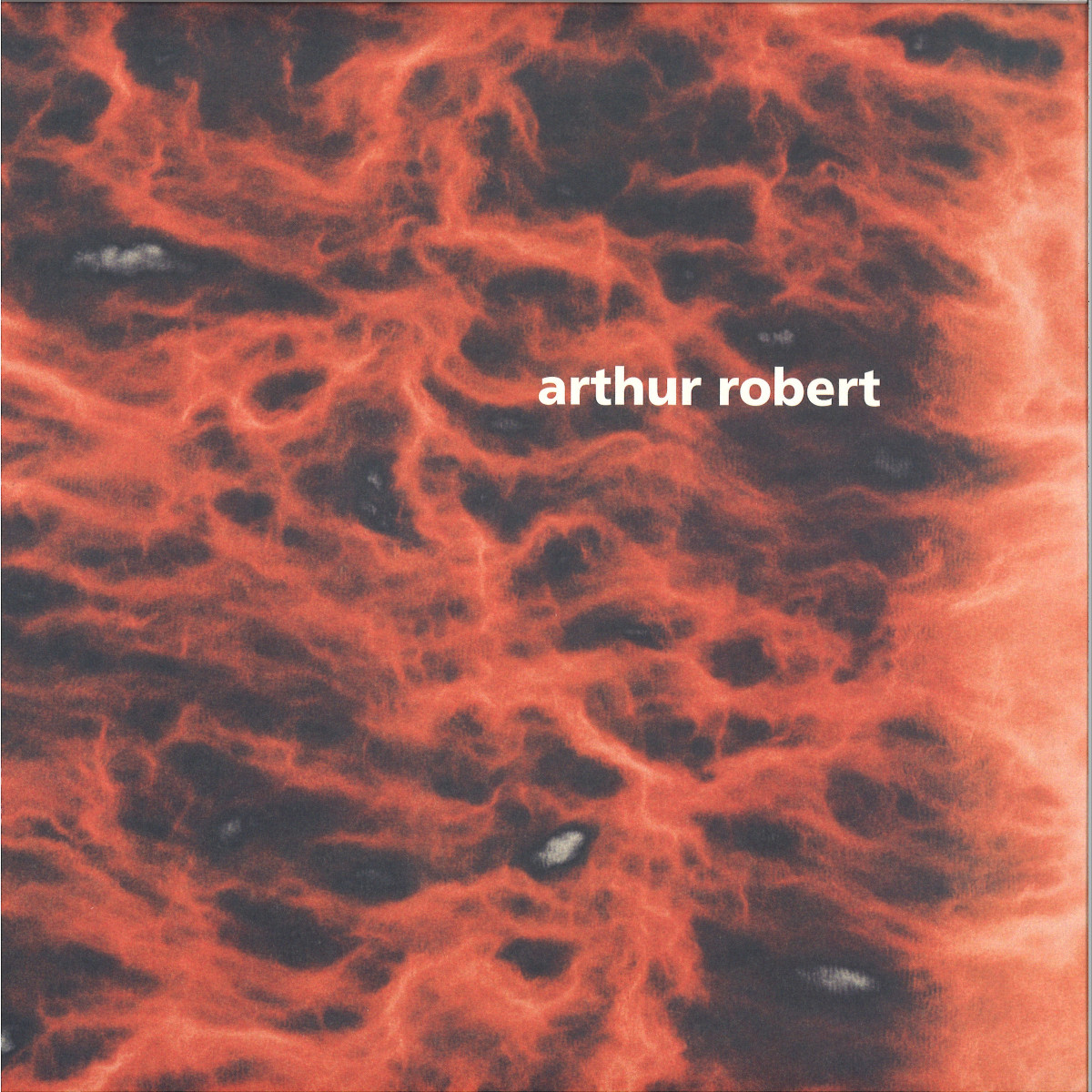 Arthur Robert — Metamorphosis Part 2 vinyl cover