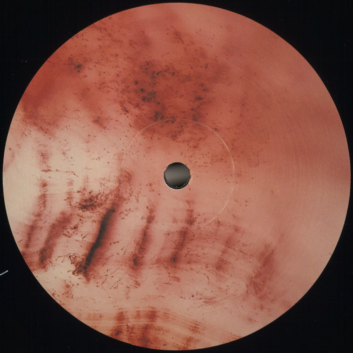 Sciahri — Pareidolia I vinyl cover