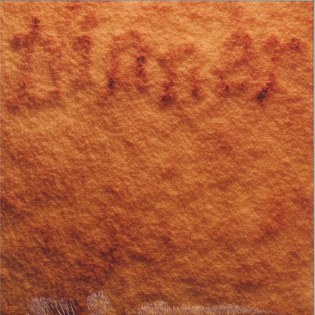 Rolrolrol — DINNER LP vinyl cover