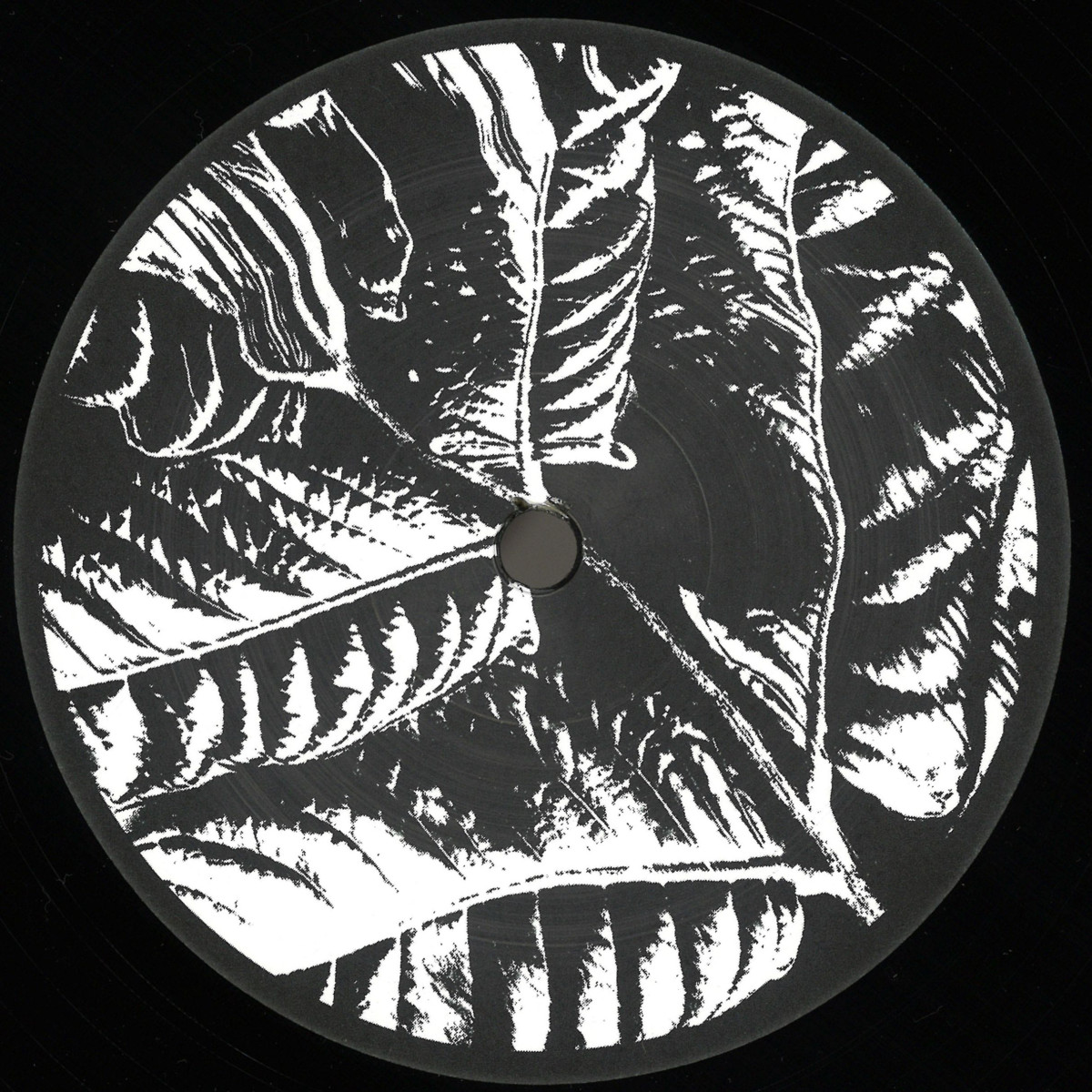 Various — Ancient Echoes EP vinyl cover