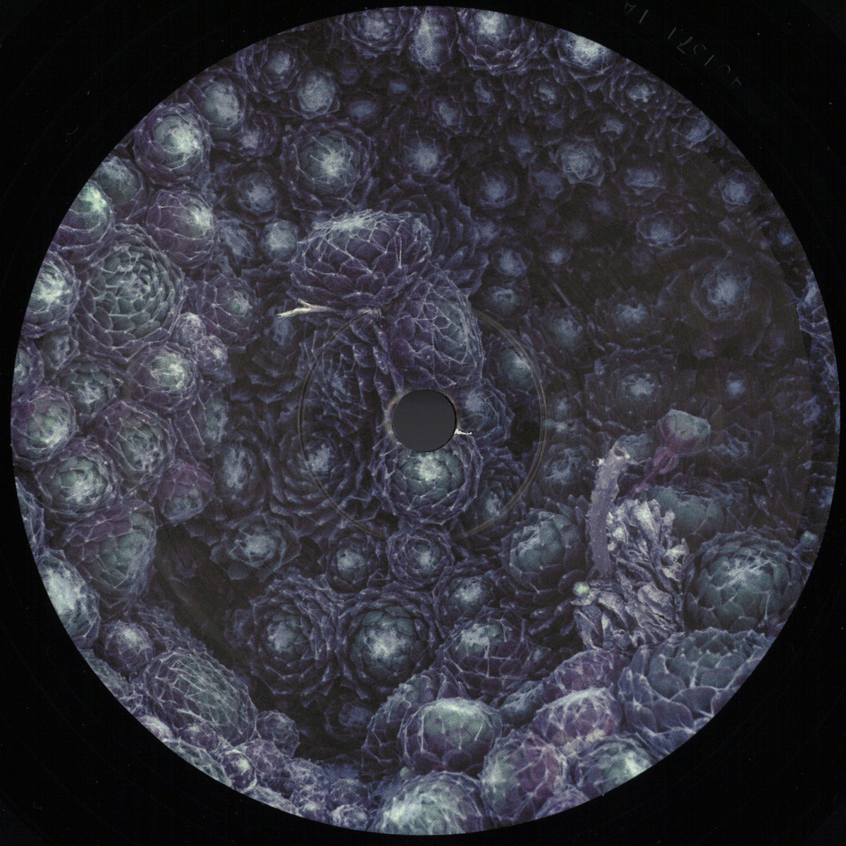 Orbe — Incremental vinyl cover