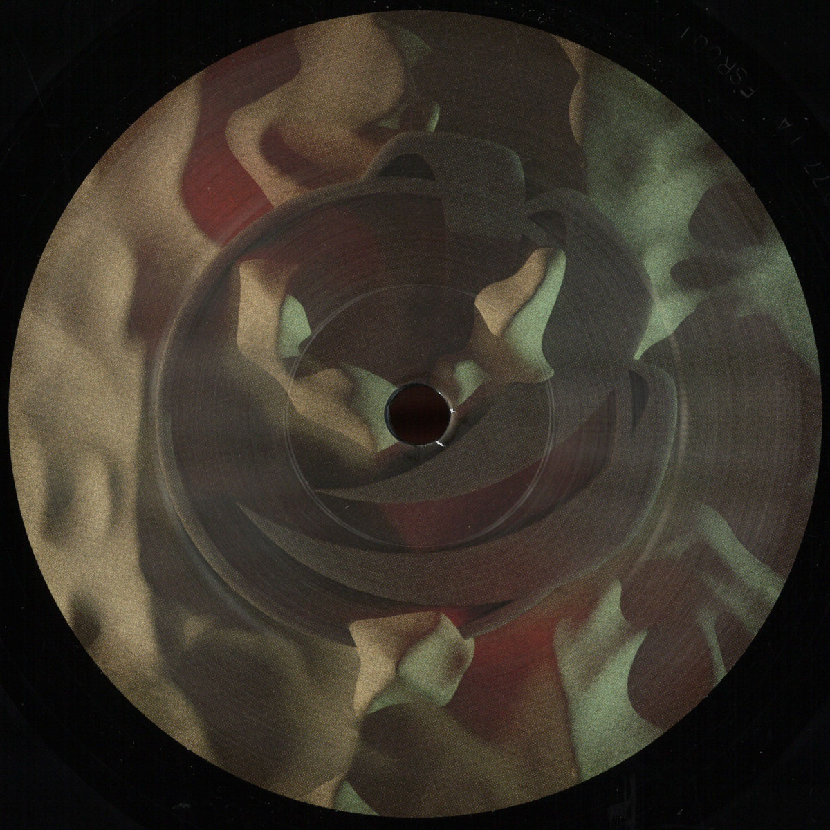 Polygonia / MTRL 　 Division / Taris Polygonia / MTRL - Division / Taris / Fur:ther Sessions