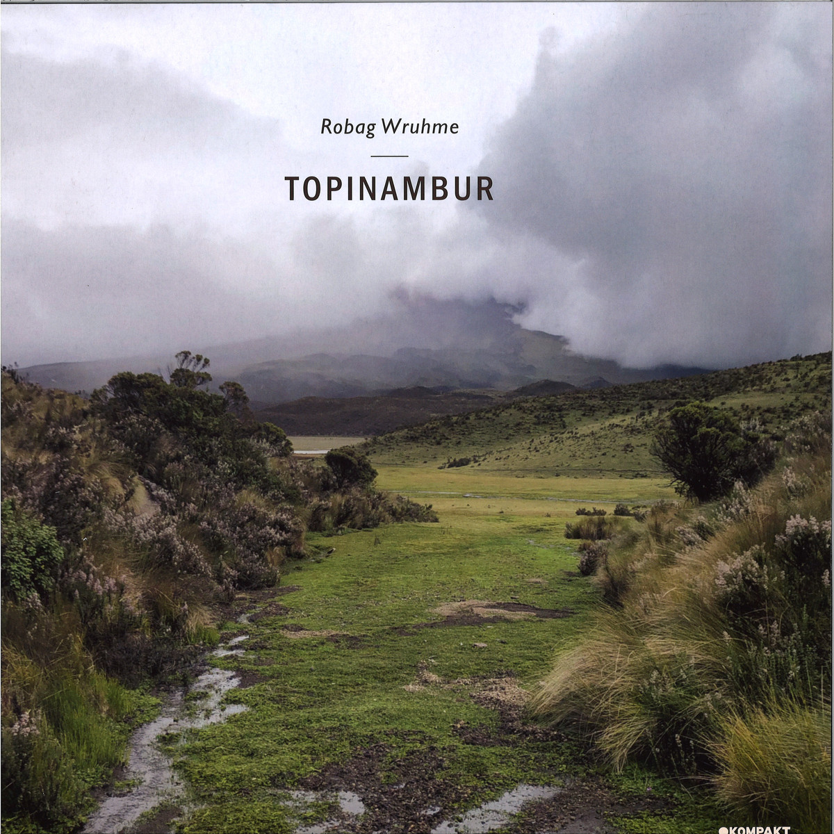 Robag Wruhme — Topinambur EP vinyl cover