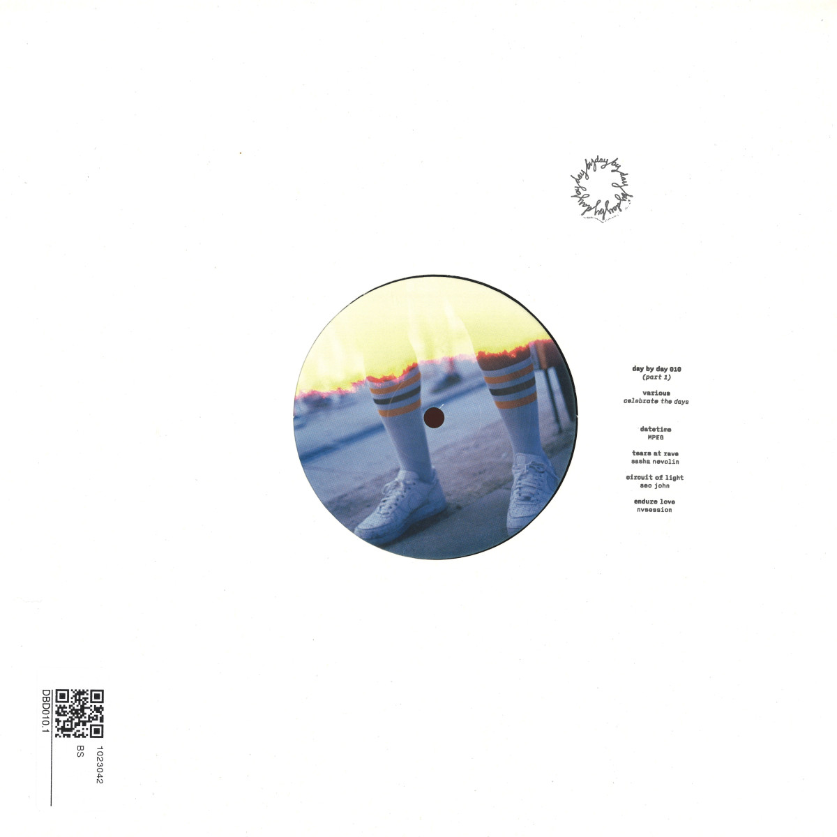 Various — Celebrate The Days vinyl cover