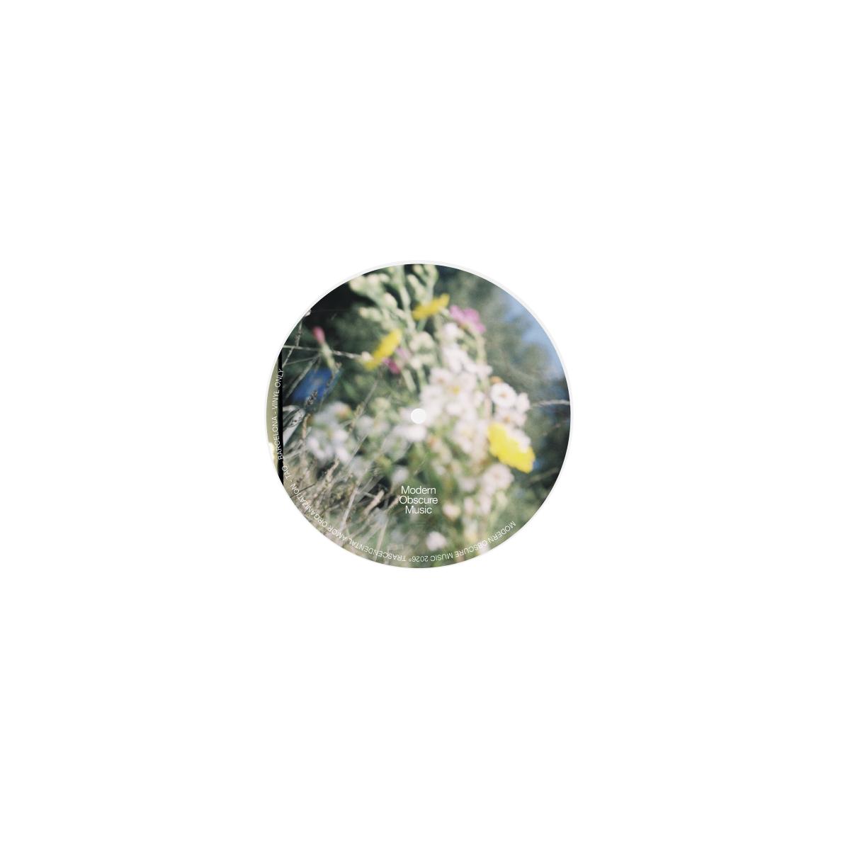 Transcendental Amor Organization — TAO vinyl cover