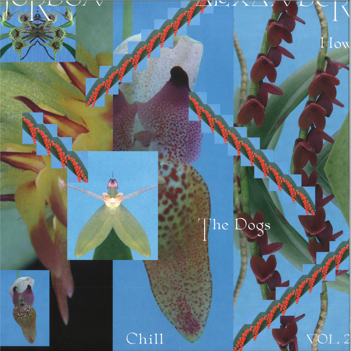 Jordon Alexander, Mall Grab — How The Dogs Chill Vol. 2 vinyl cover