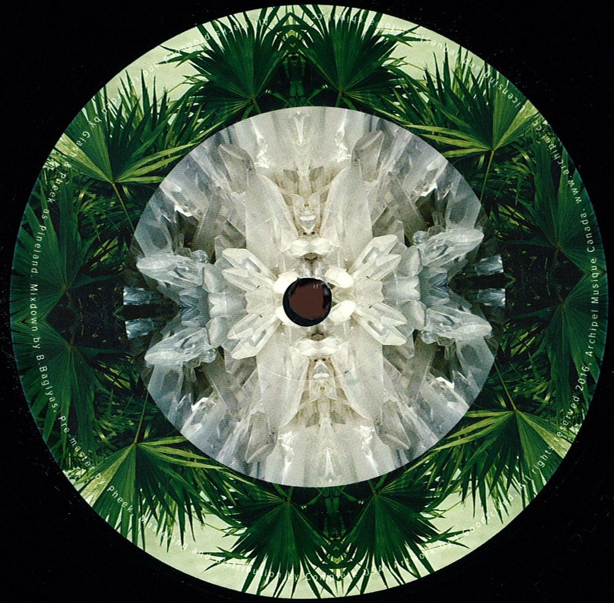 Pineland Grounded Ep / Archipel Records ARCHPL030 Vinyl