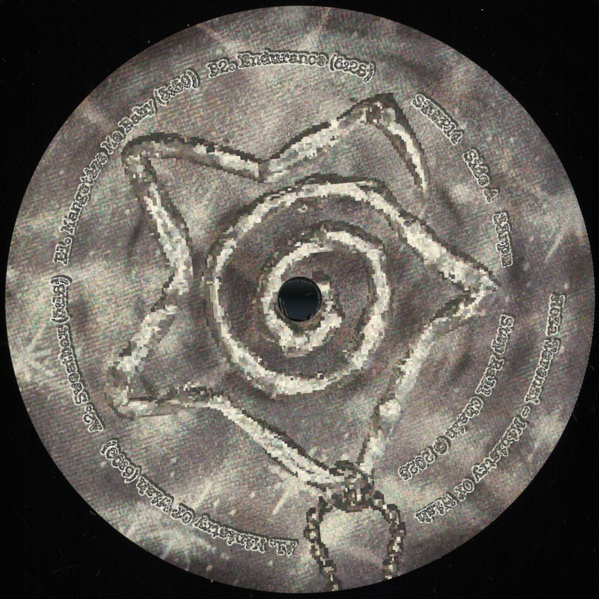 Roza Terenzi — Ministry Of Wish vinyl cover