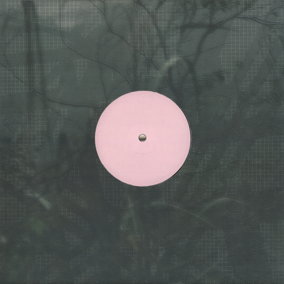 Alien D — For the Early Hours of a World in Bloom vinyl cover