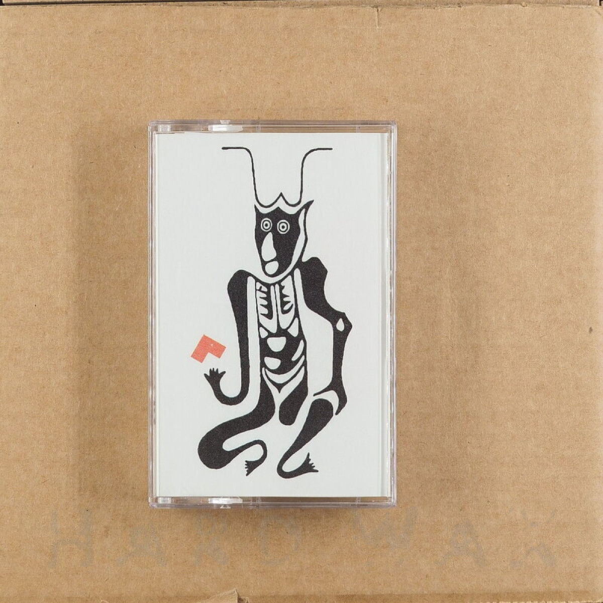 Mnemonics — Mnemonic Devices tAPE vinyl cover