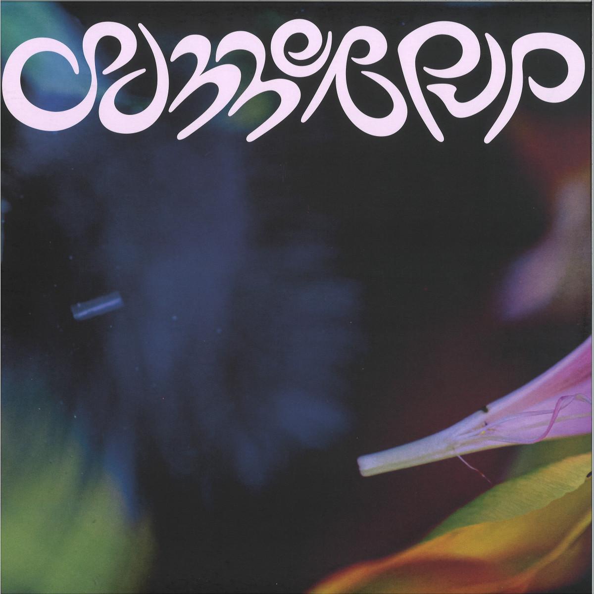 D.dan — summerpup vinyl cover