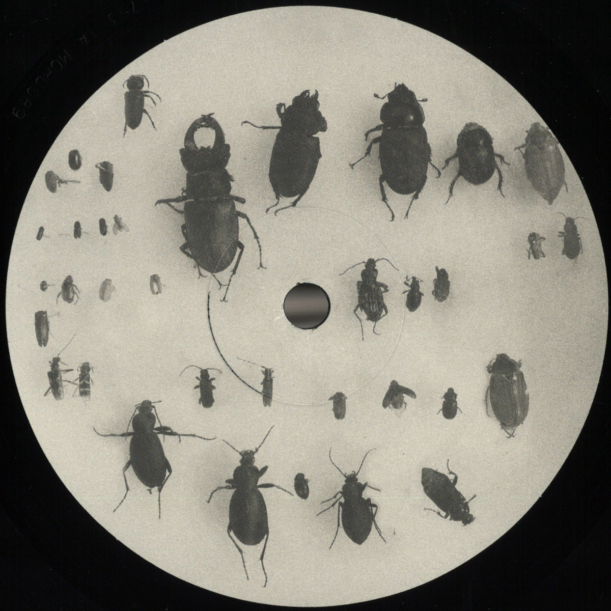 Lewis Fautzi — You Can't Step On the Same Risk Twice EP vinyl cover