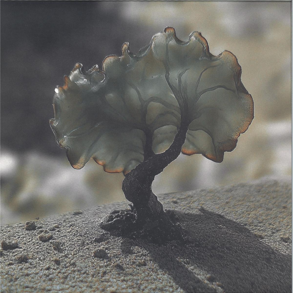 Justin Berkovi — SMV013 vinyl cover