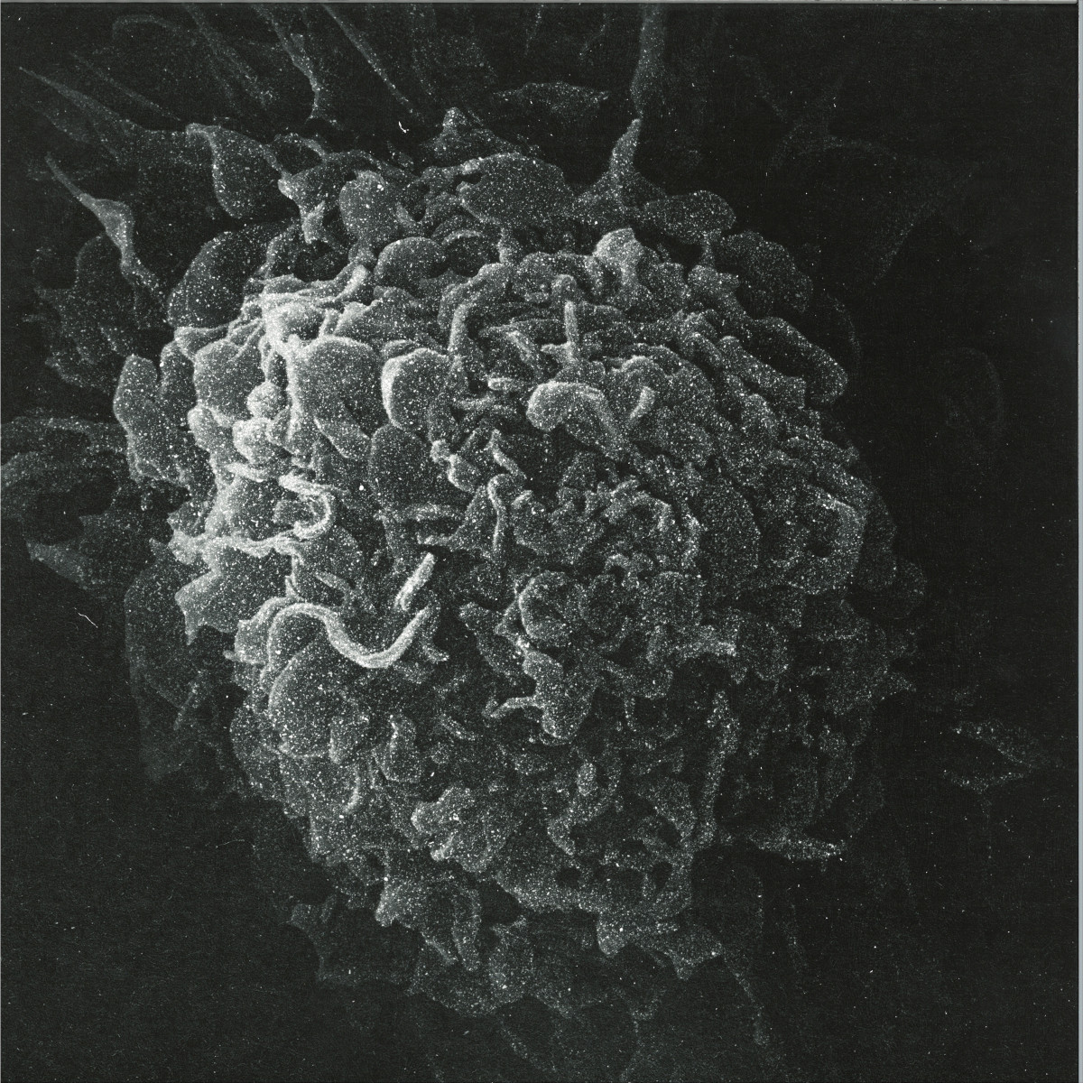 Kashpitzky — Romantic & Dead 2x12" vinyl cover