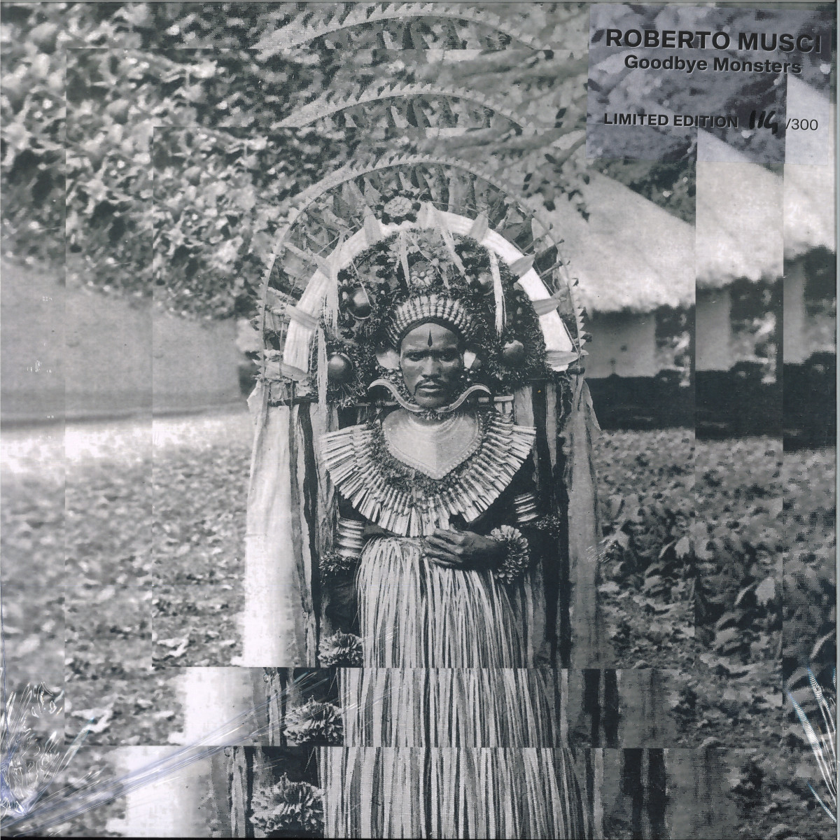 Roberto Musci — Goodbye Monsters vinyl cover