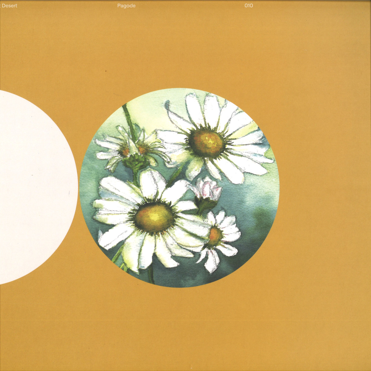 Lost Desert — Pagode vinyl cover