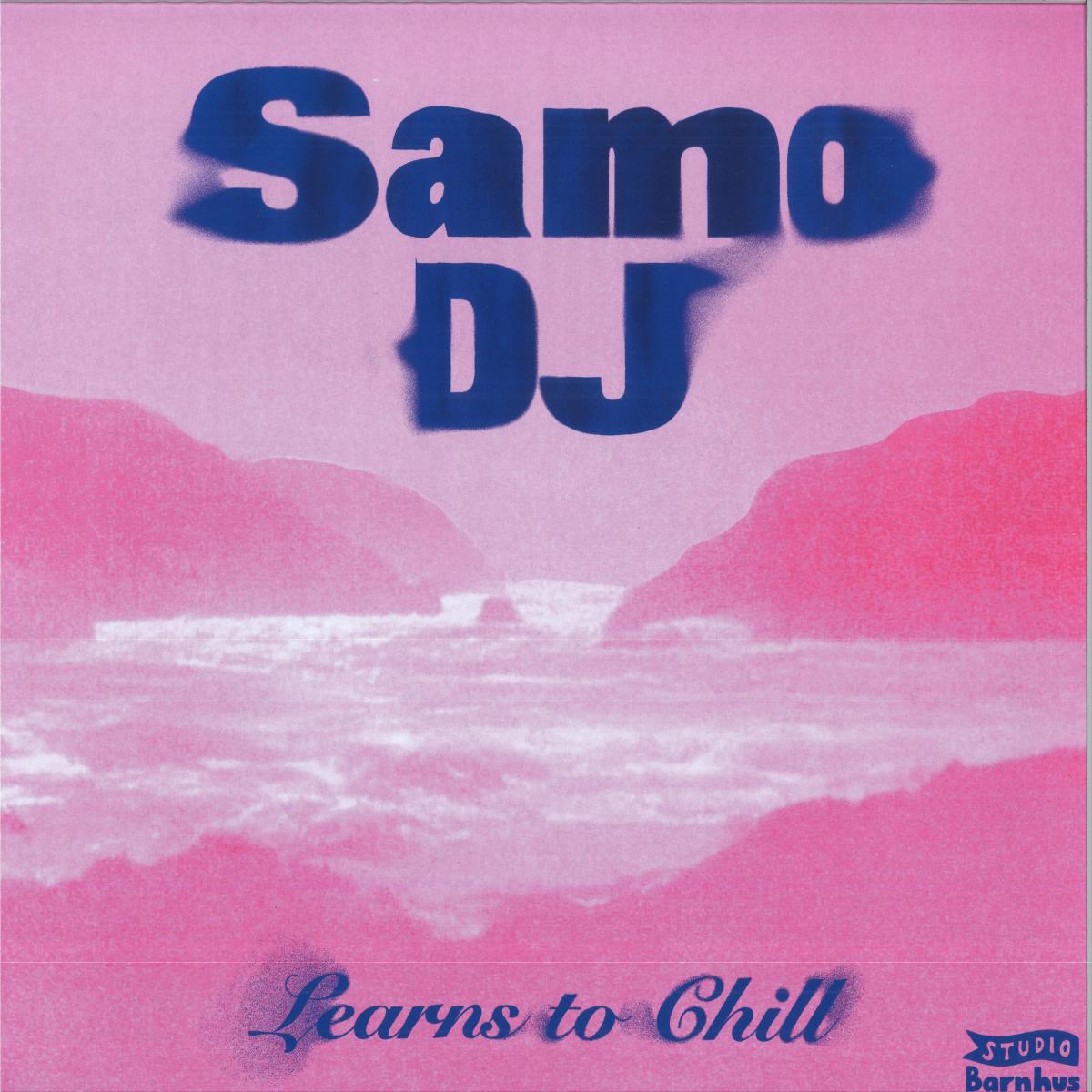 Samo DJ — Learns To Chill vinyl cover