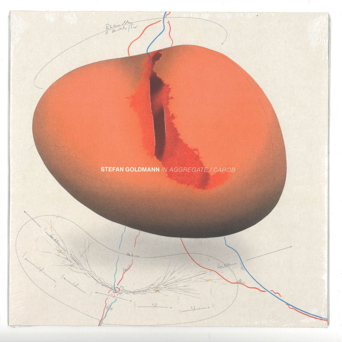 Stefan Goldmann — IN AGGREGATE / CAROB vinyl cover