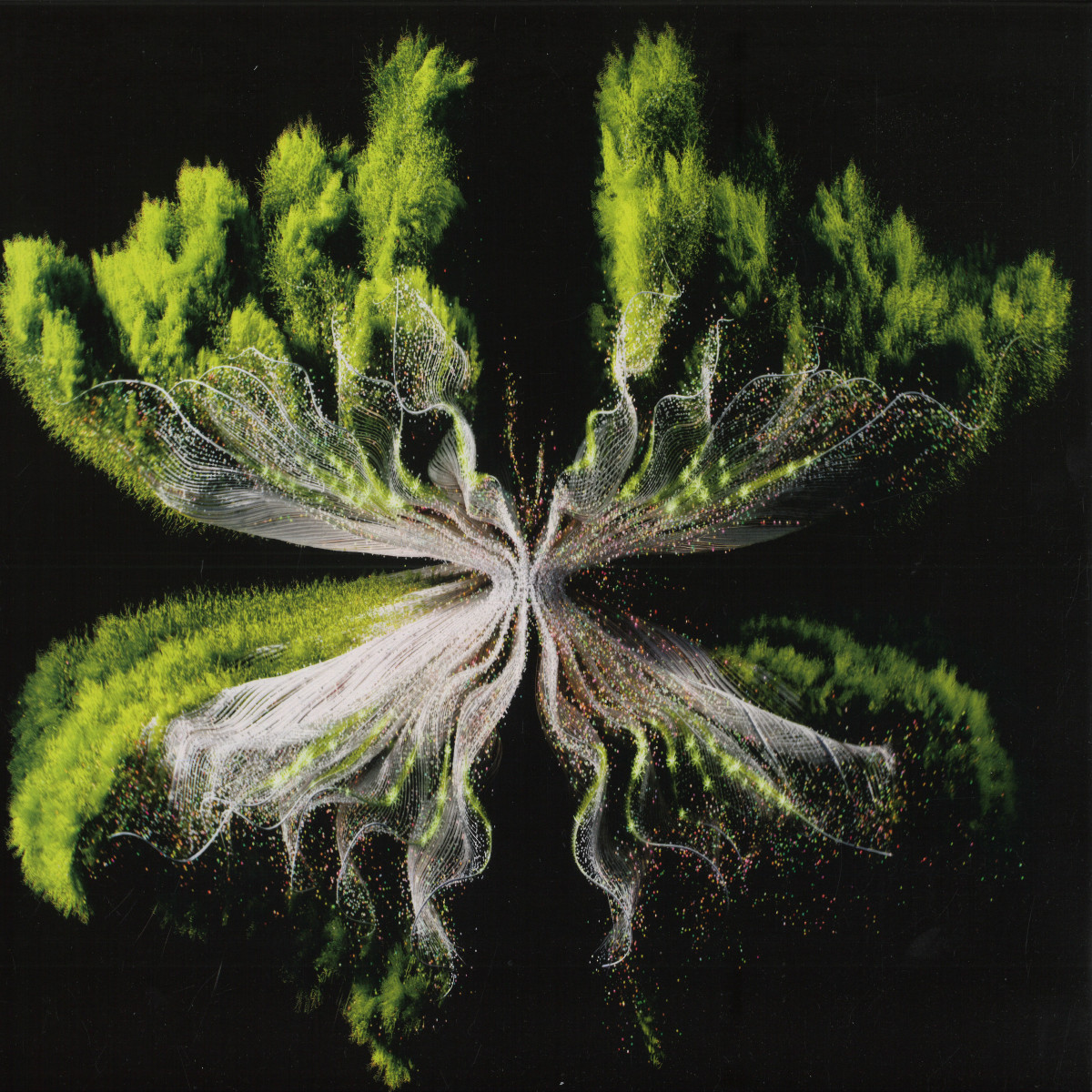 Rebūke — Along Came Polly vinyl cover