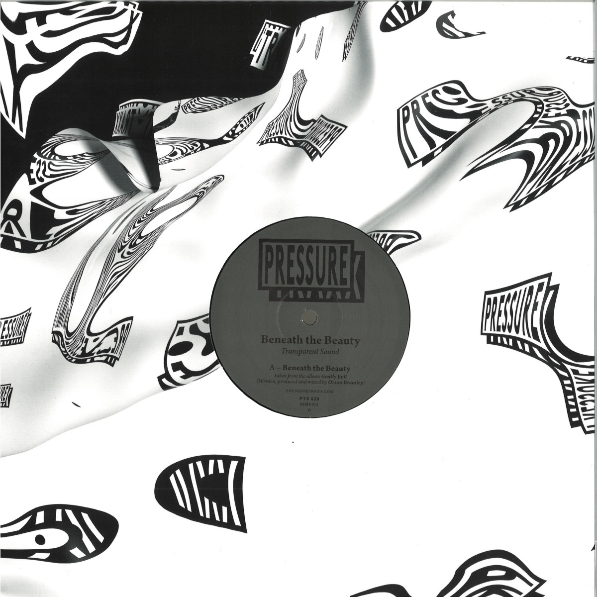 Transparent Sound — Beneath The Beauty EP vinyl cover