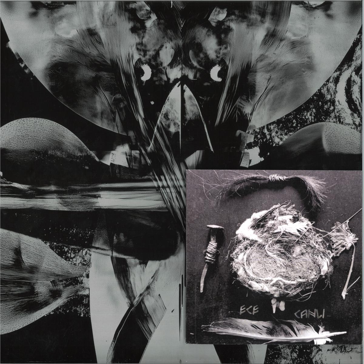 Ece Canli — VOX FLORA VOX FAUNA LP vinyl cover