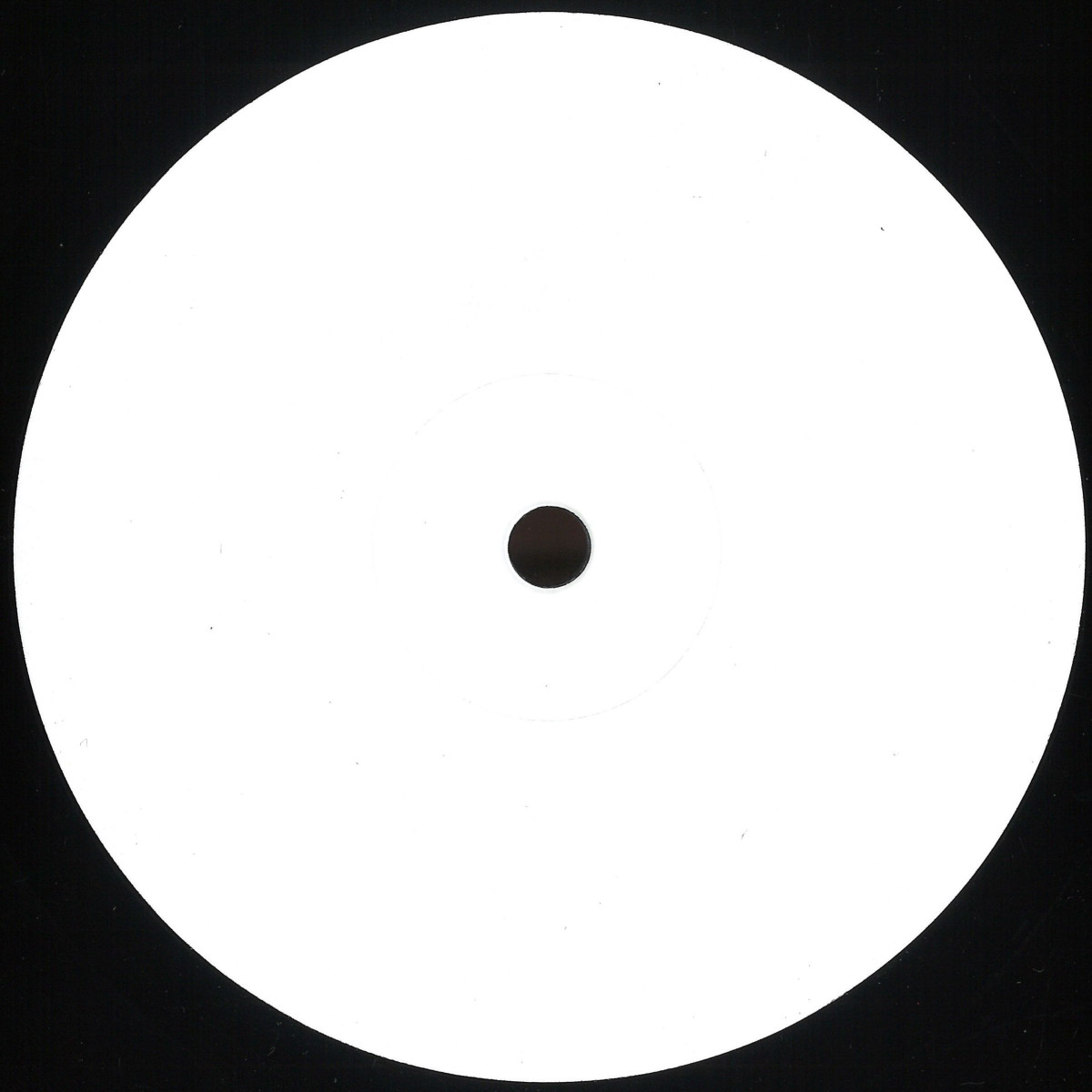 Rico Puestel — Endless Summer vinyl cover