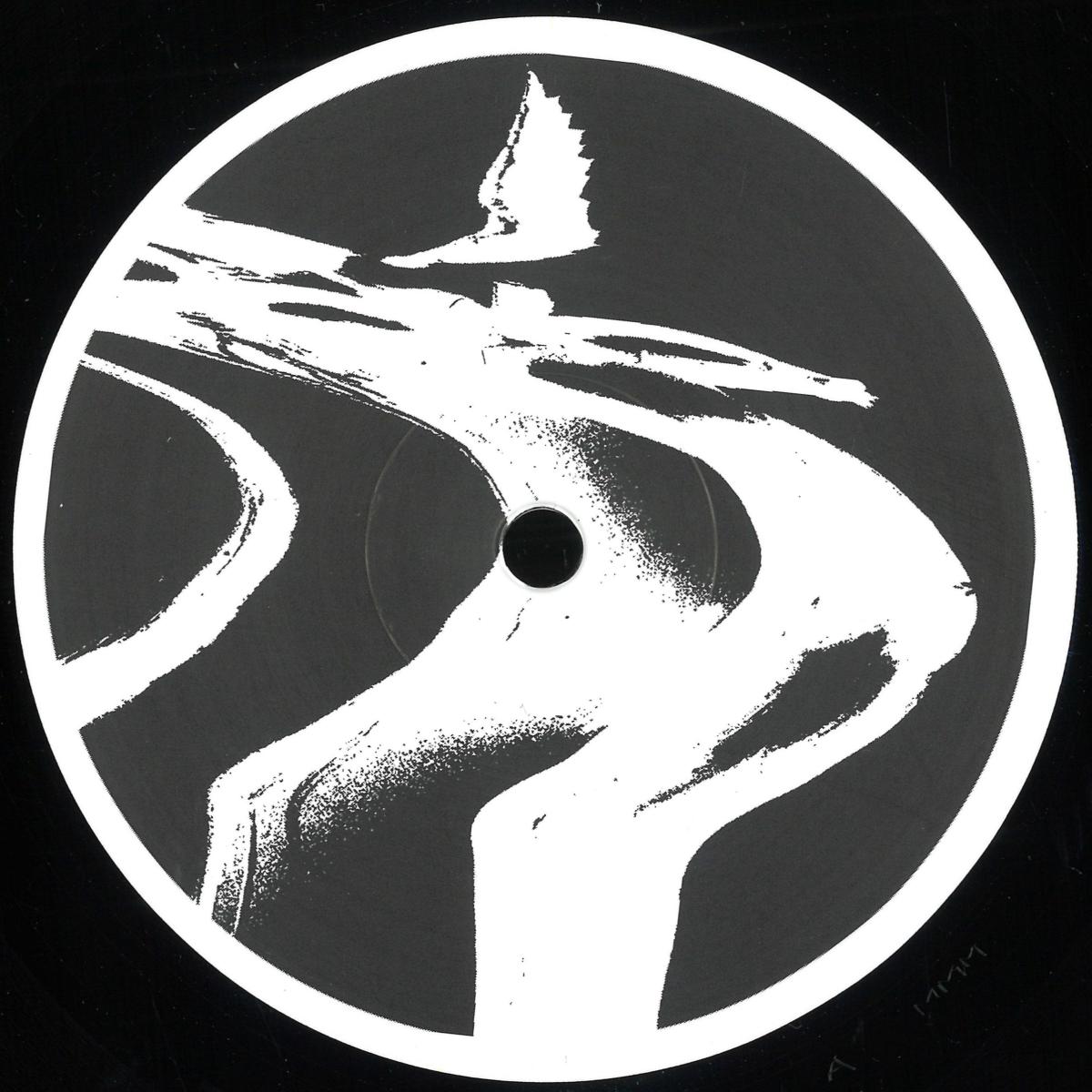 The Chronics — Voices From The Void vinyl cover