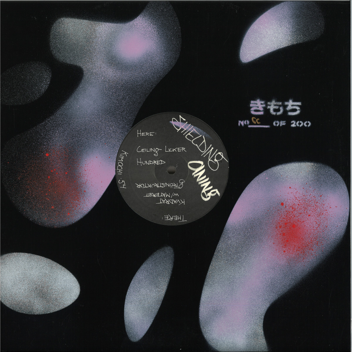 Shielding — Aning vinyl cover