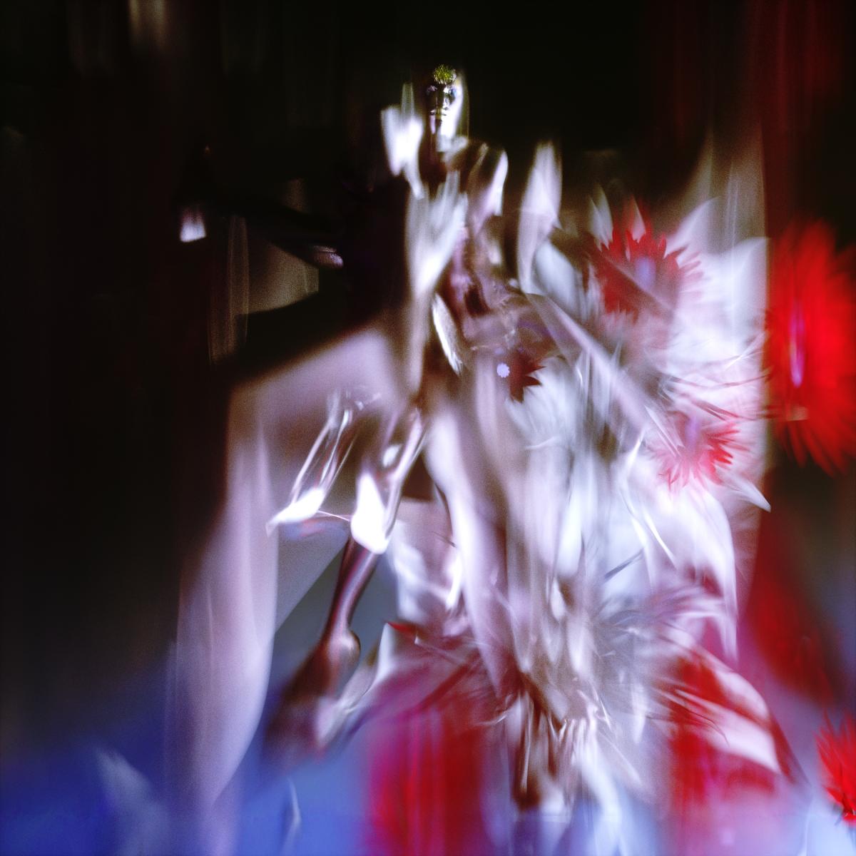 Polygonia — Ceaseless Motion vinyl cover