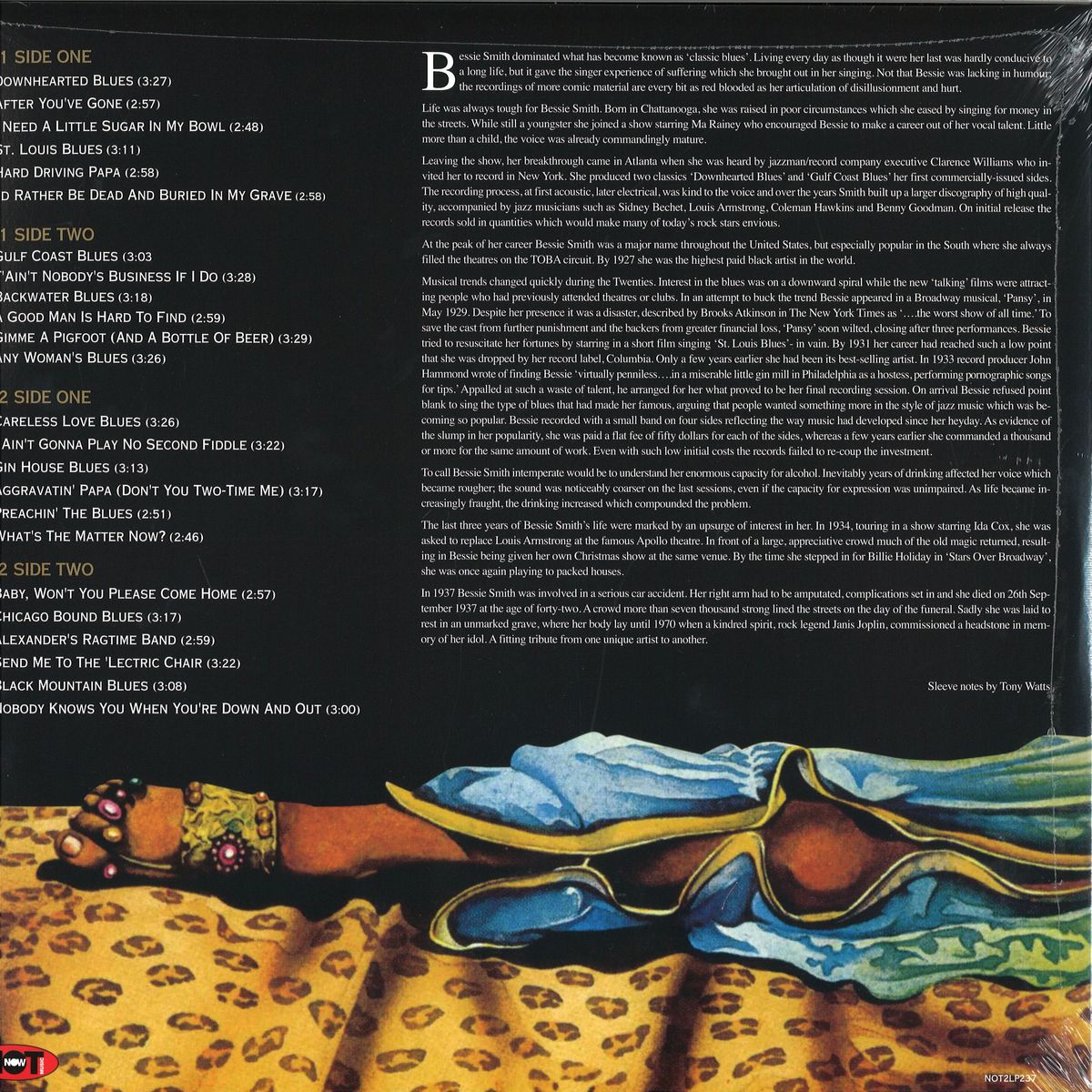 modtage Medicin is Bessie Smith - The Bessie Smith Story / Not Now Music NOT2LP237 - Vinyl